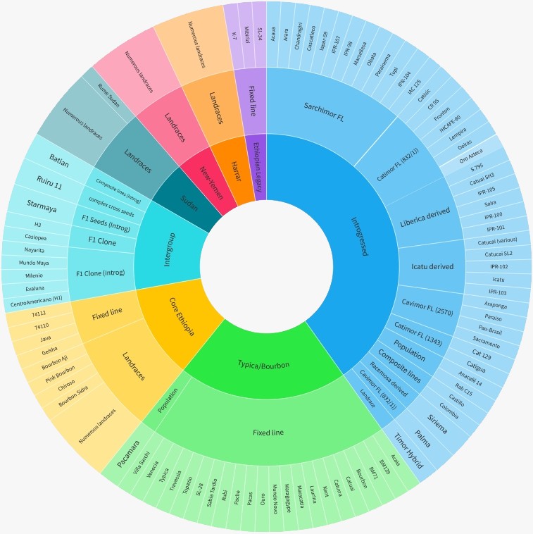 The Arabica coffee Cultivars Wheel©